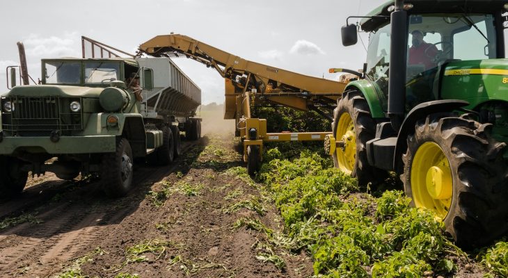 România este în topul randamentului agricol din Europa